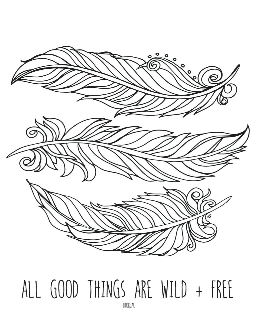 Printable Adult Coloring Pages Feather Coloring Pages
