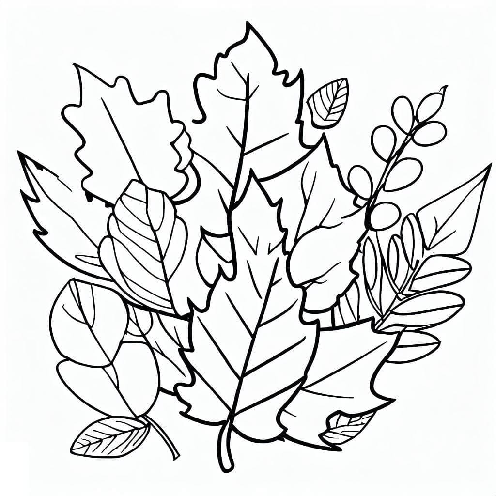 Printable Fall Leaves Coloring Page Download Print Or Color Online For Free
