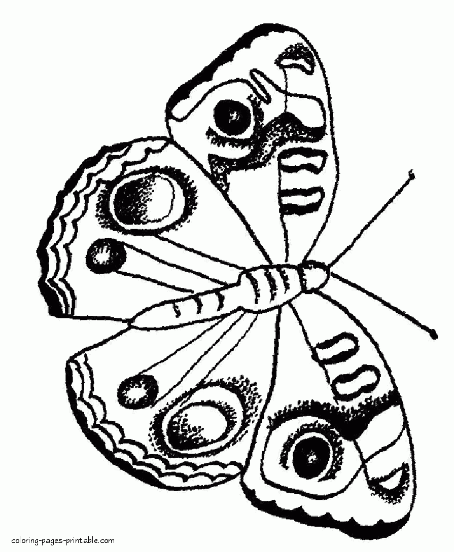 Moth Coloring Page