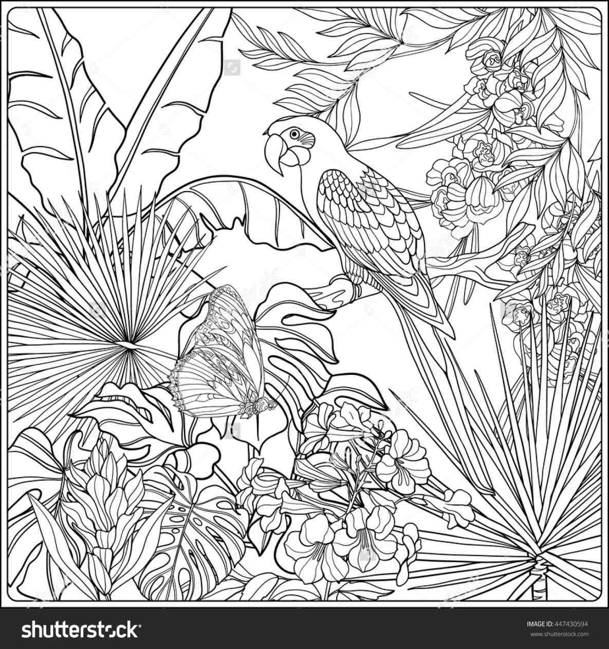 Printable Jungle Coloring Pages