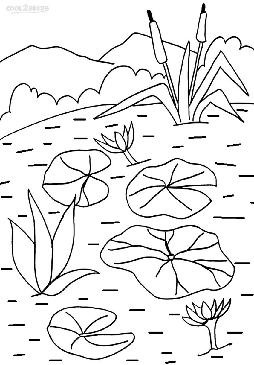 Printable Lily Pad Coloring Pages For Kids Cool2bKids