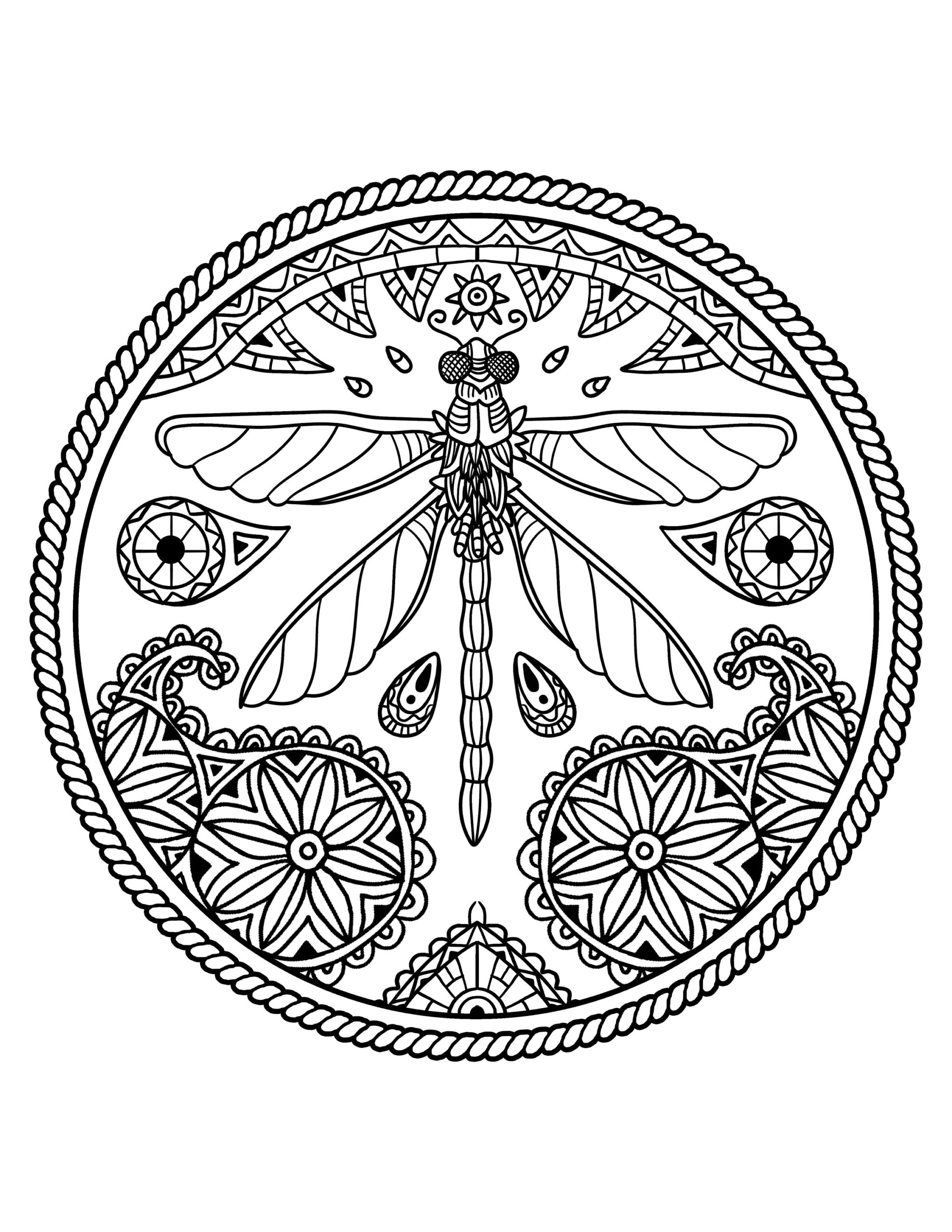 Printable Mandala Dragonfly Coloring Page Digital Download Beautiful Dragonfly Etsy