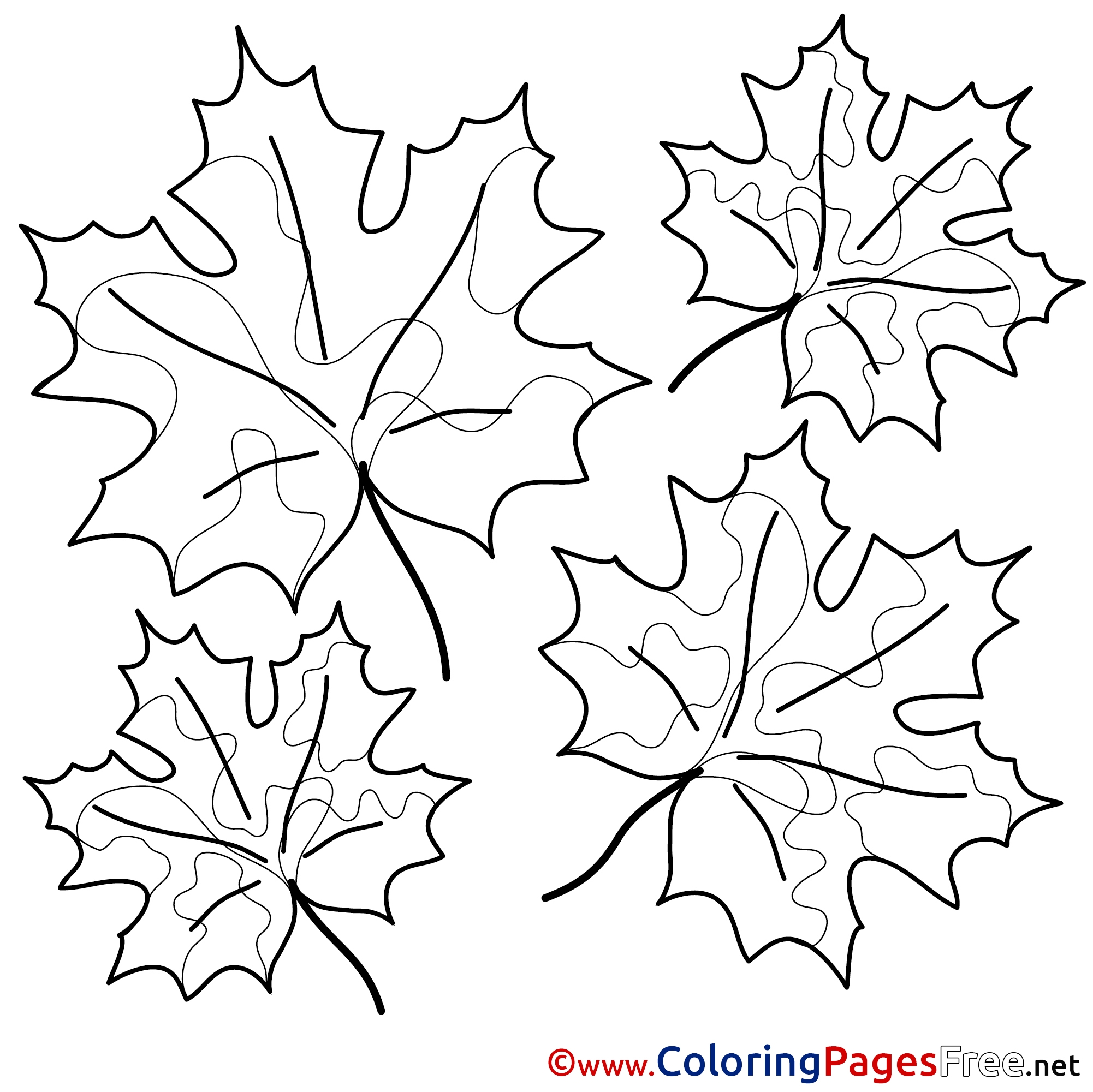 Printable Maple Leaf Cut Out Template Of Canada Day Coloring Sketch Coloring Page