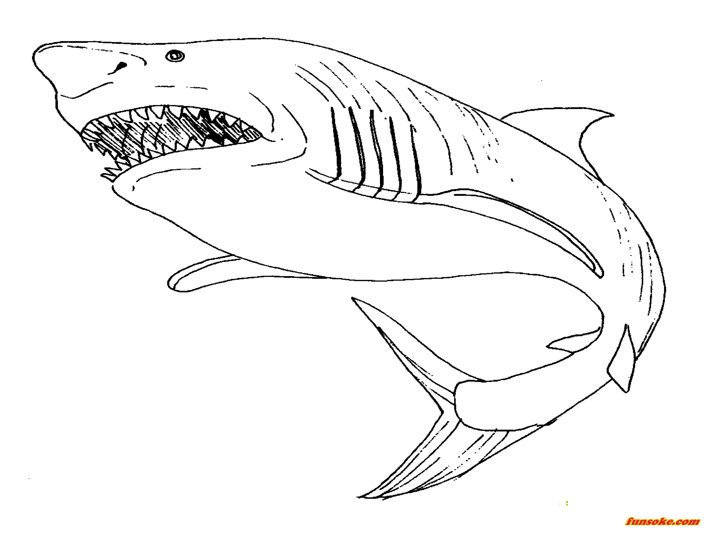 Coloring Pages Megalodon