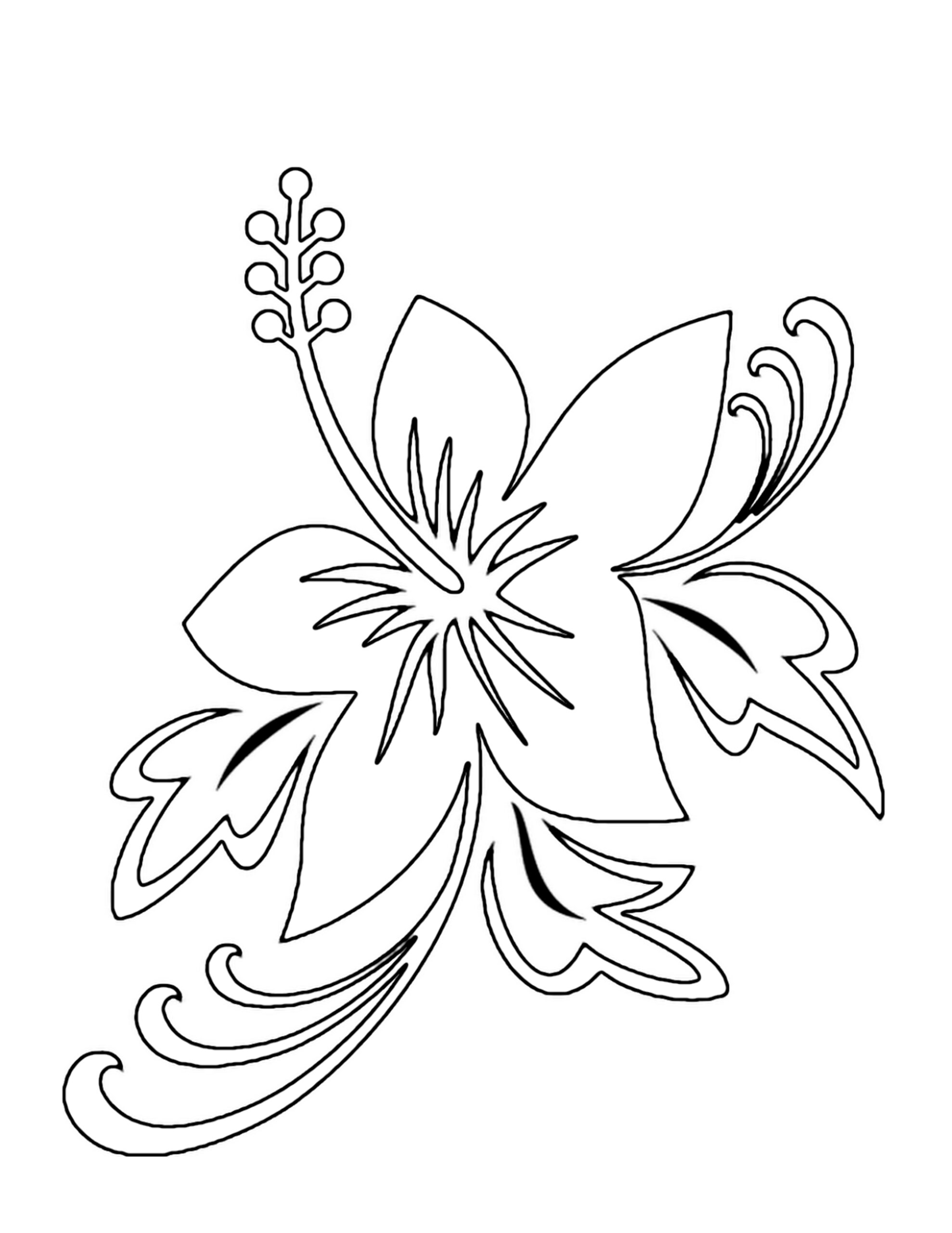 Printable Orchid Coloring Pages