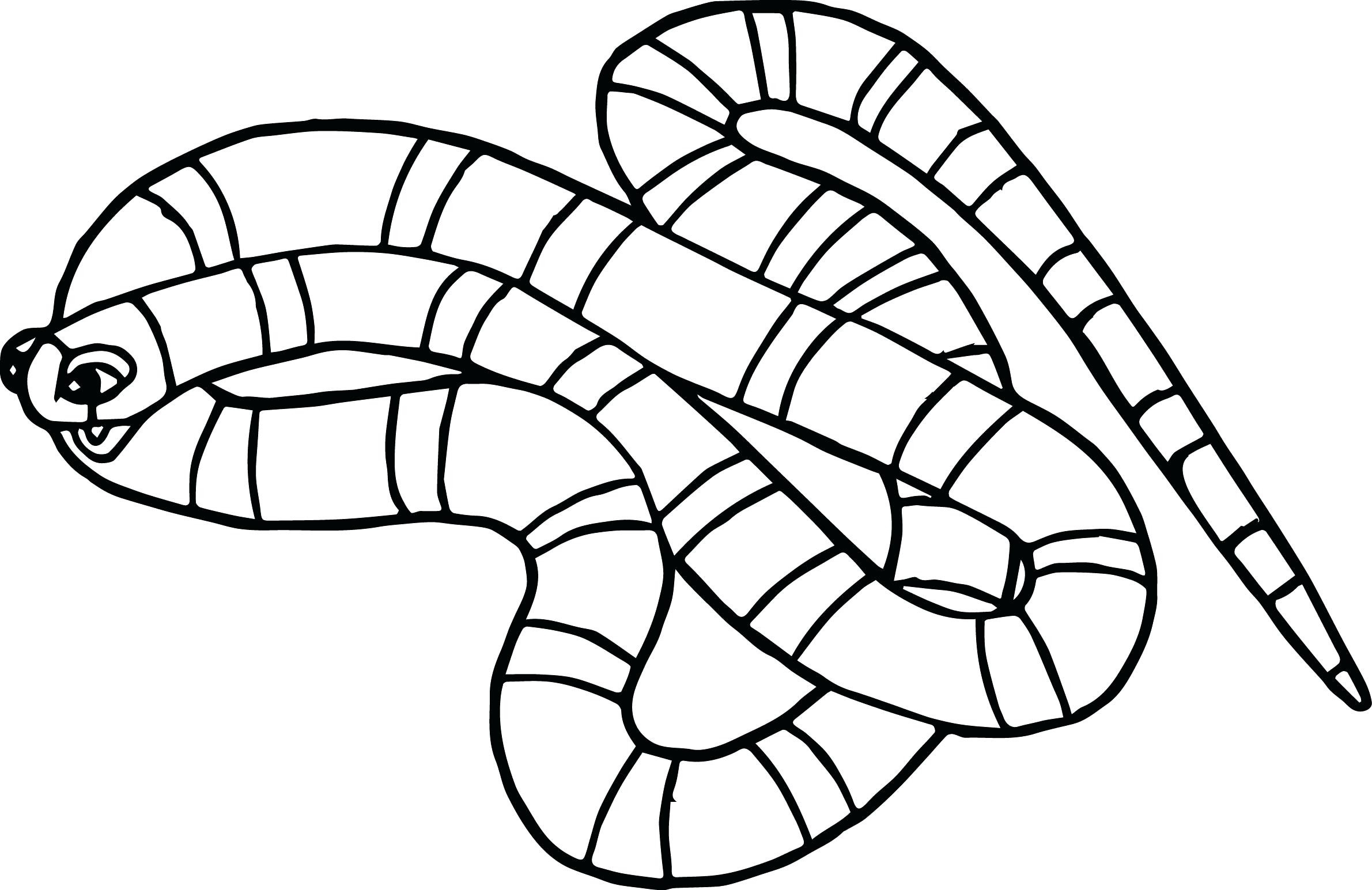 Printable Snake Coloring Pages
