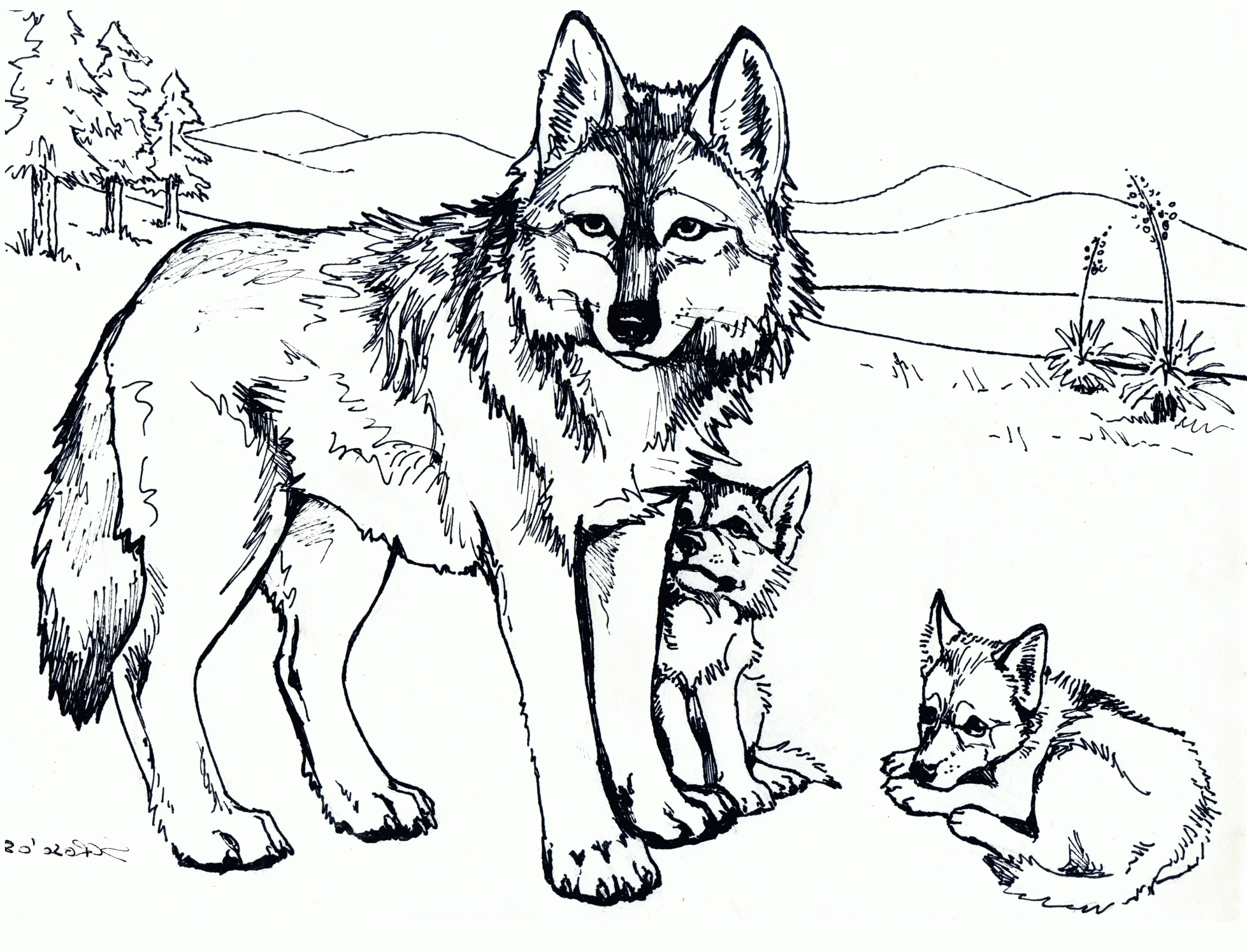 Printable Wolf Coloring Pages