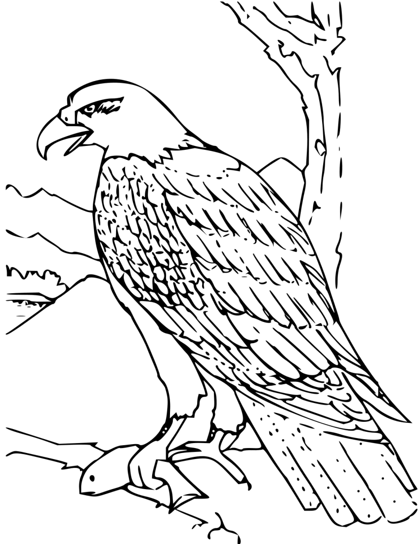 Public Domain Coloring Pages At GetColorings Free Printable Colorings Pages To Print And Color