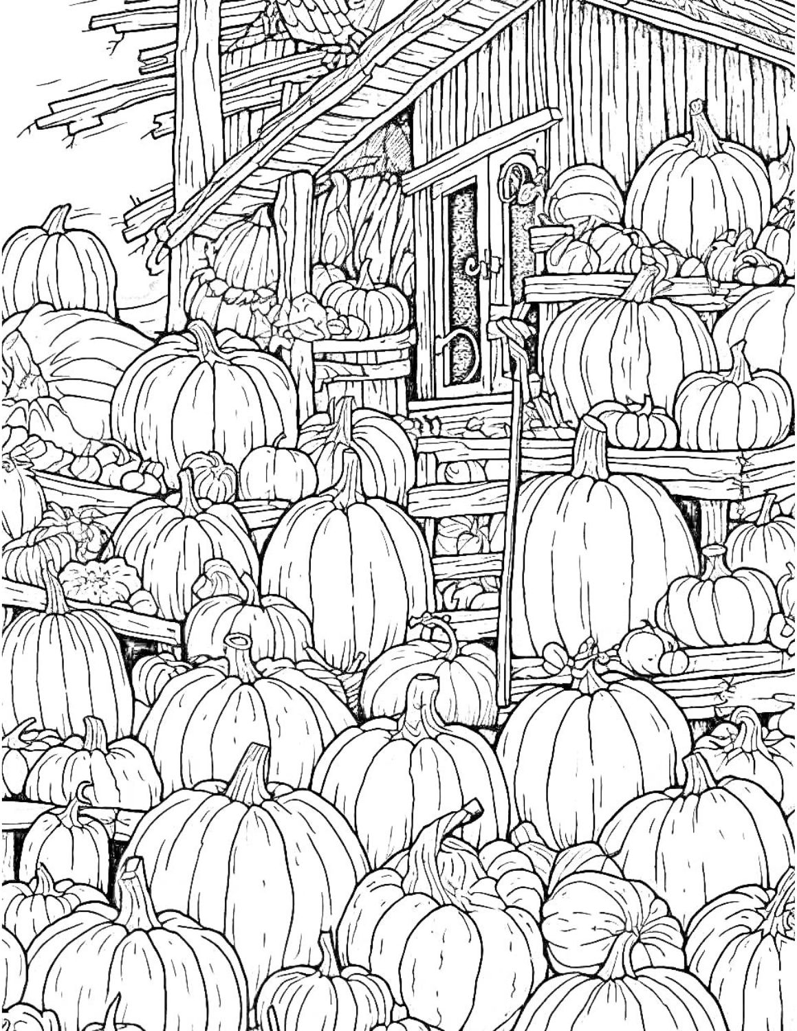 Pumpkin Patch Coloring Pages