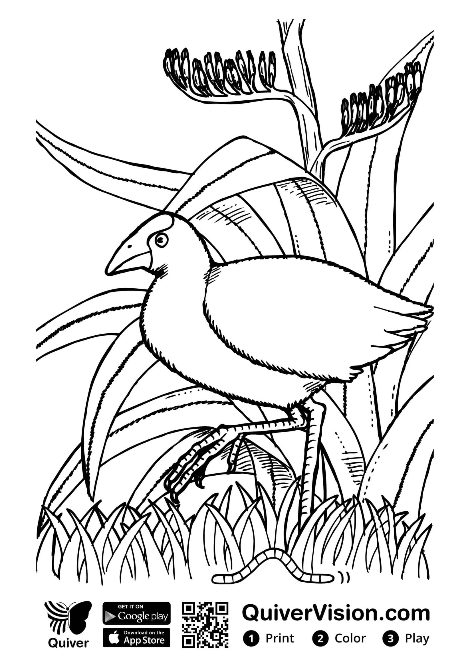 Quiver Coloring Pages