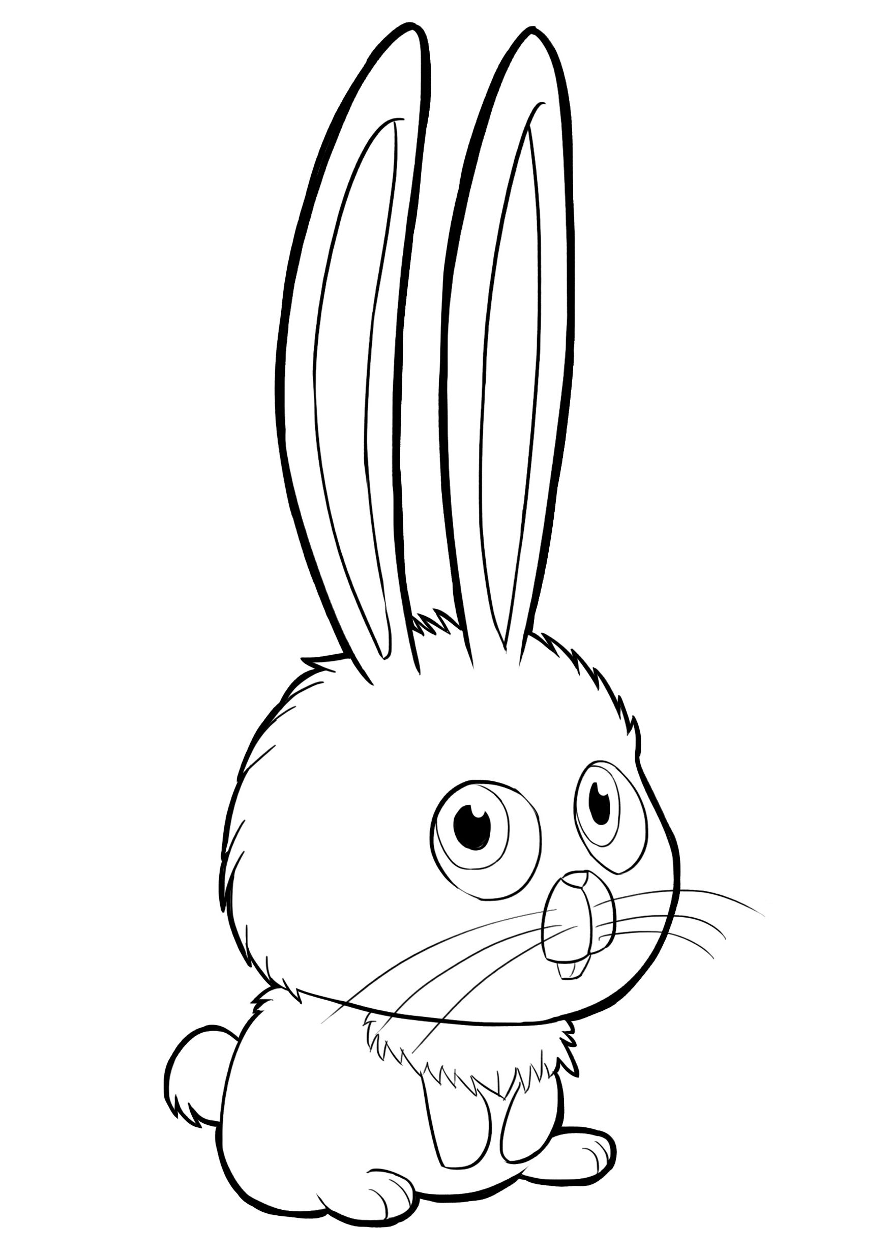 Rabbit Drawings Coloring Coloring Pages