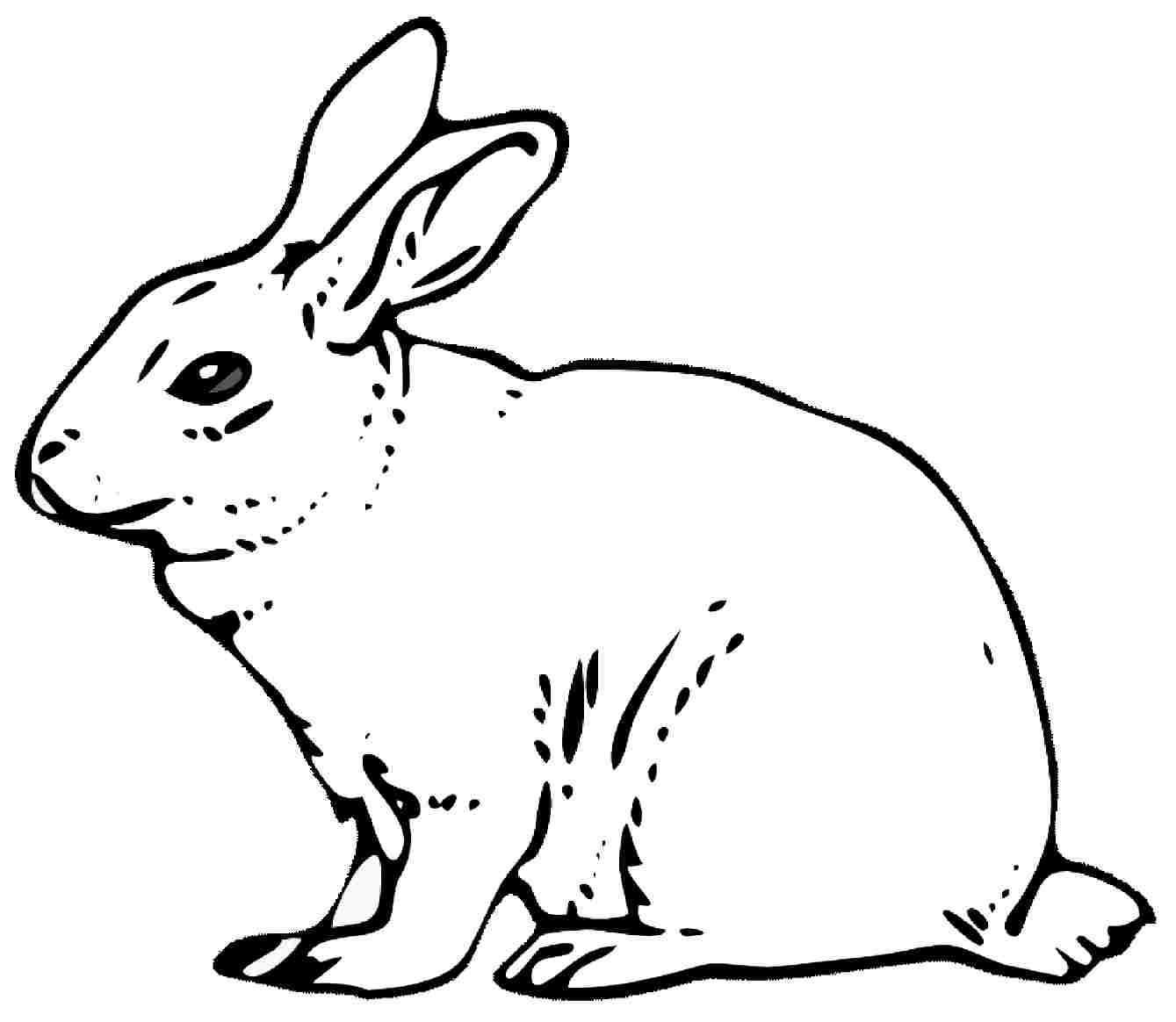 Rabbit Line Drawing At GetDrawings Free Download