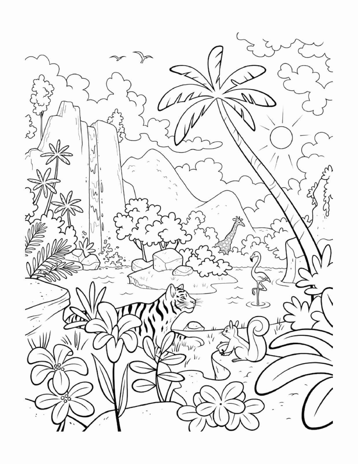 Rainforest Coloring Page