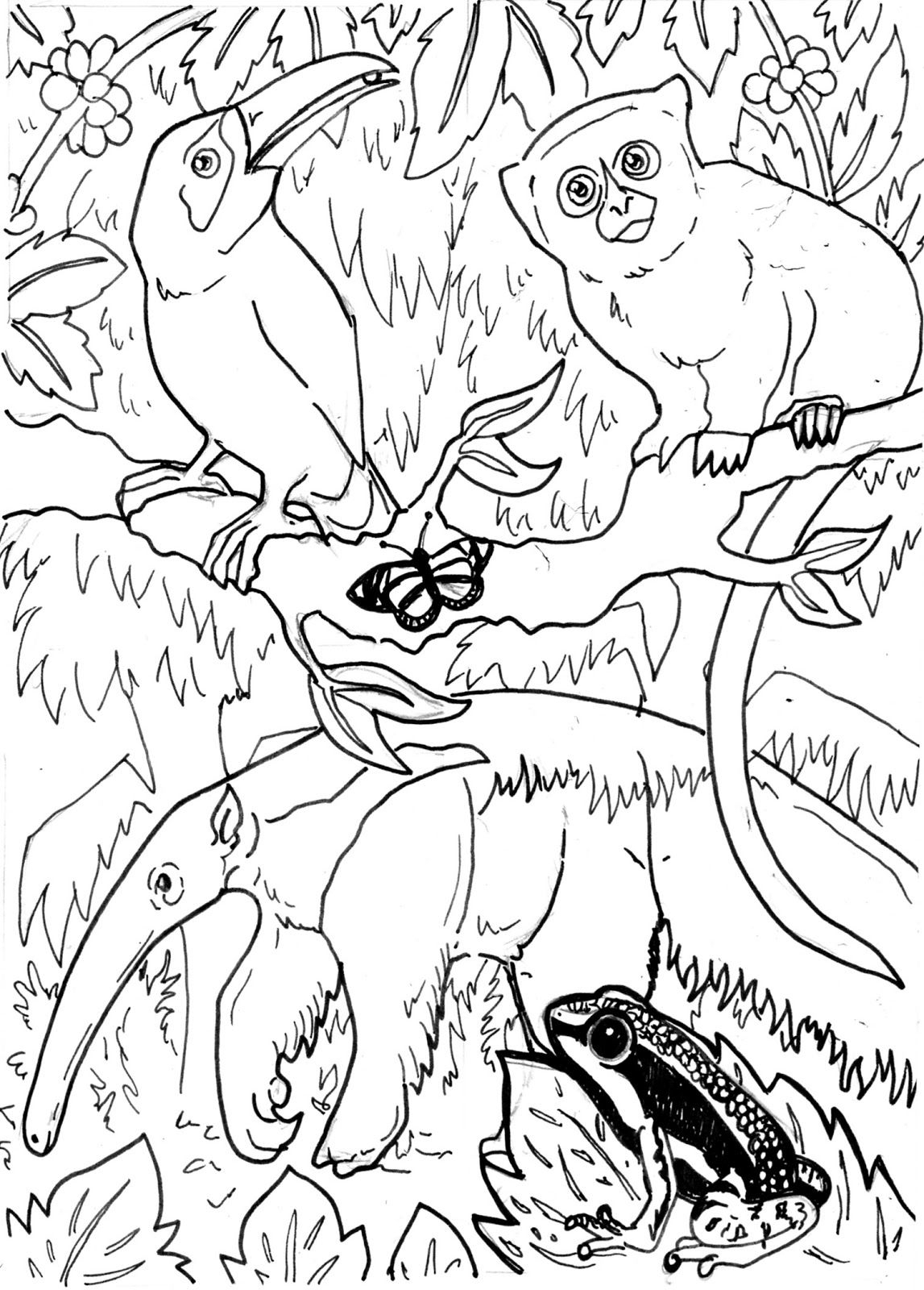 Rainforest Coloring Page