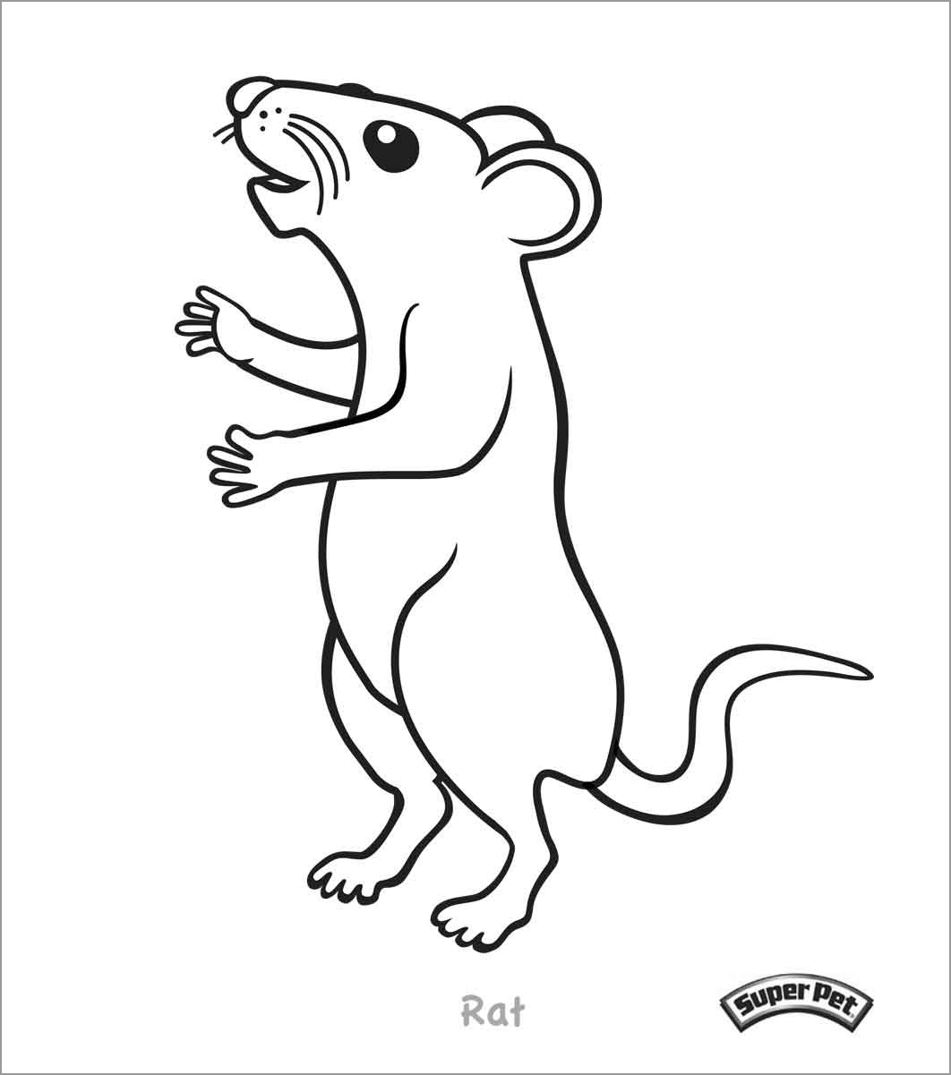 Rat Coloring Page