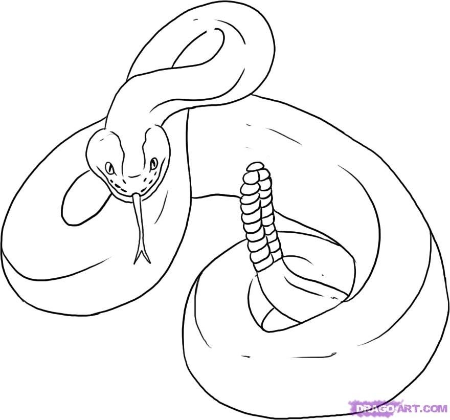 Rattlesnake Coloring Page Coloring Home