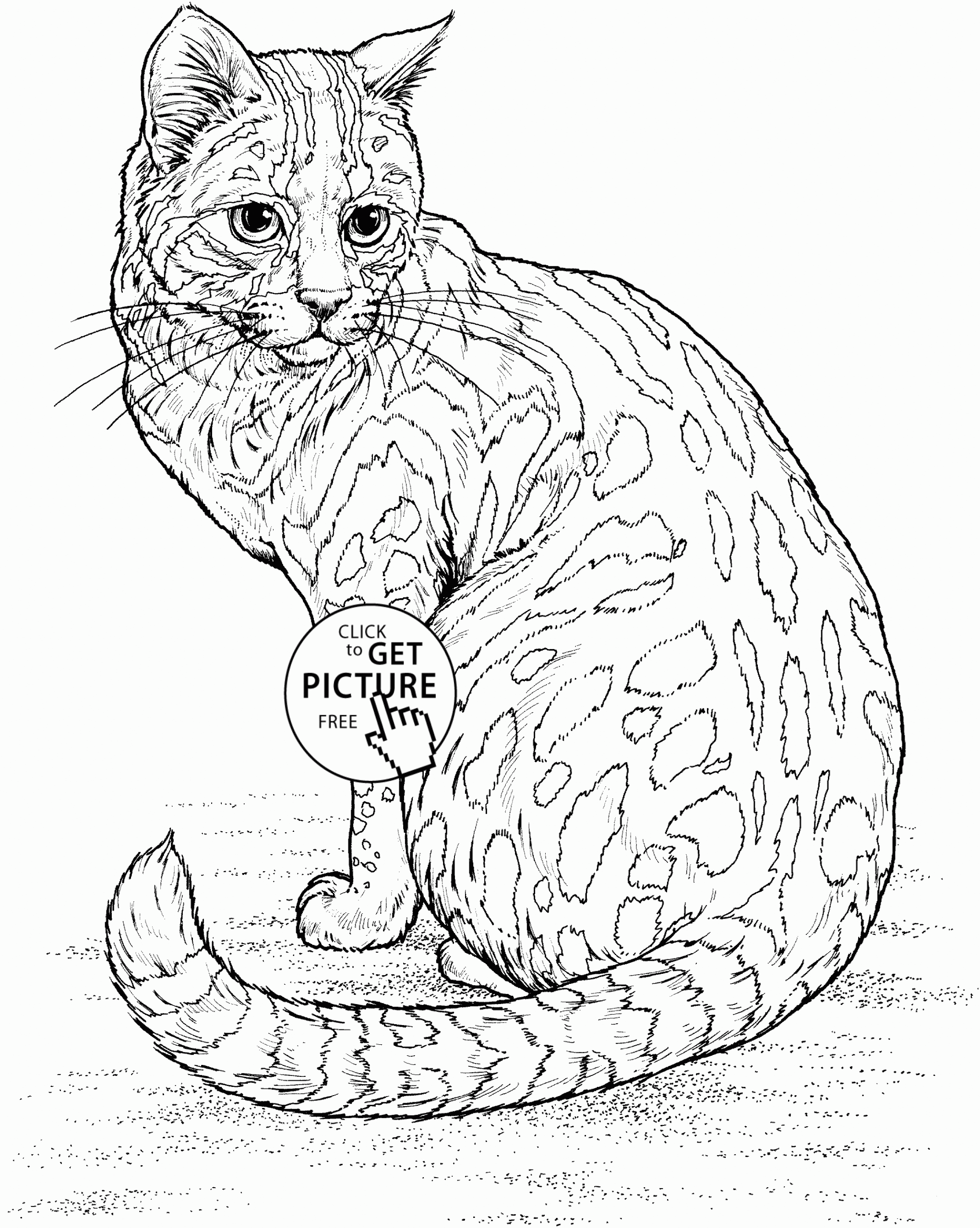 Cat] Coloring Pages