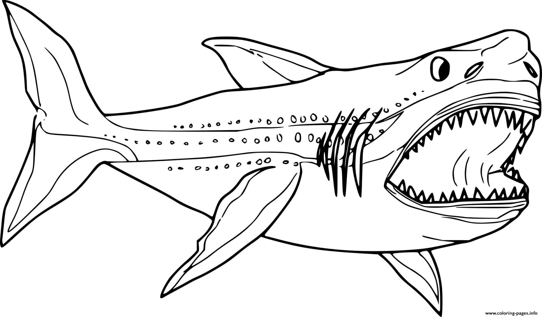 Megaladon Coloring Page