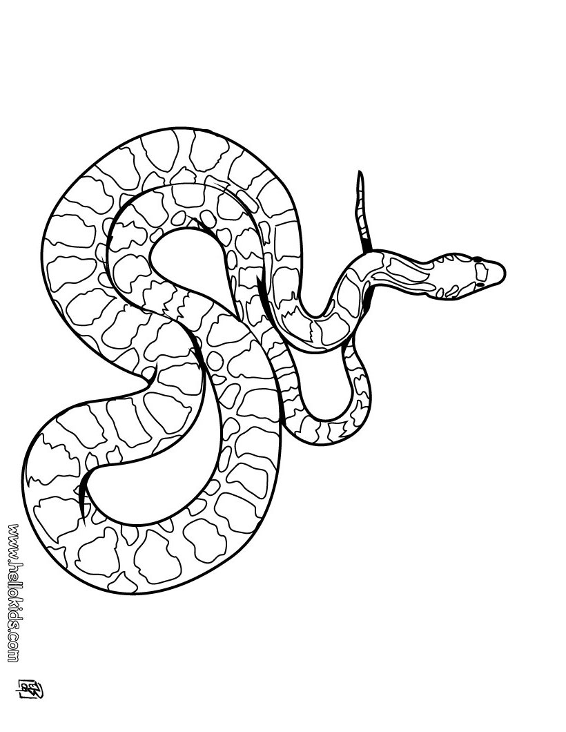 Corn Snake Coloring Page