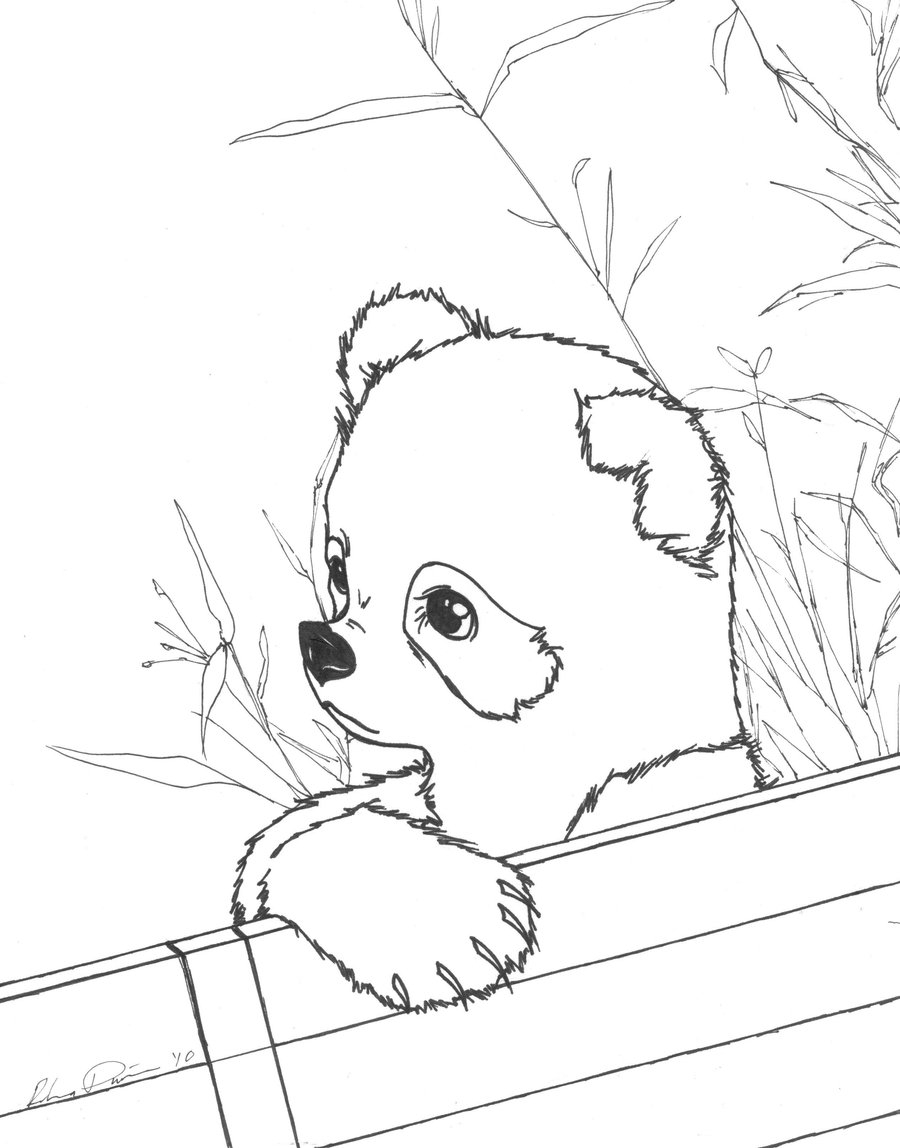 Red Panda Coloring Pages