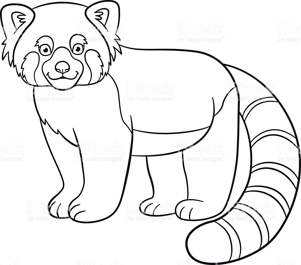 Red Panda Coloring Page At GetDrawings Free Download