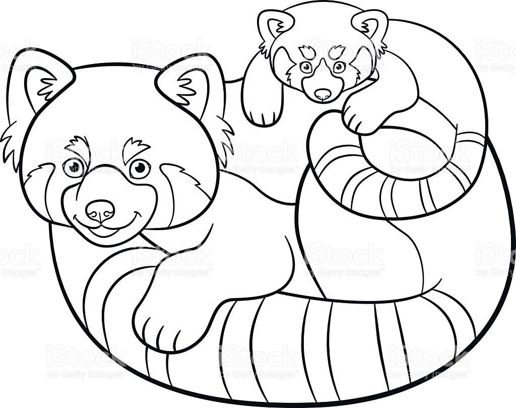 Red Panda Coloring Page Printable Printable Templates