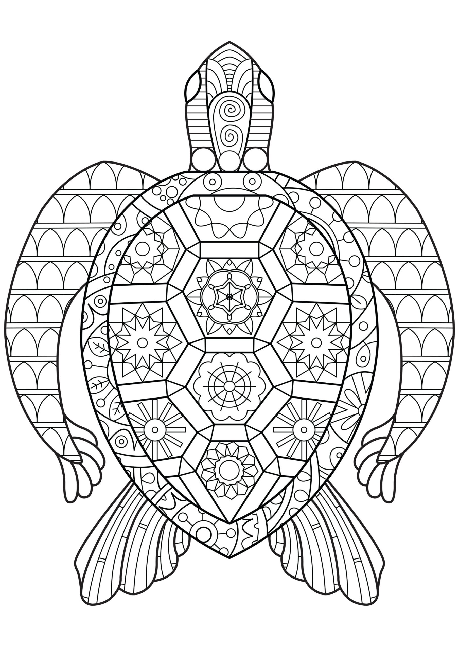 Reptile Coloring Pages Best Coloring Pages For Kids