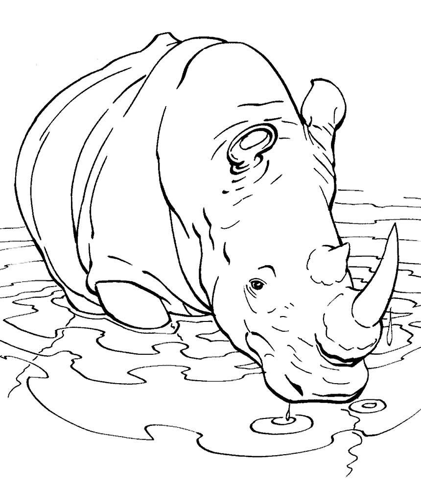 Rhinoceros Coloring Pages To Download And Print For Free
