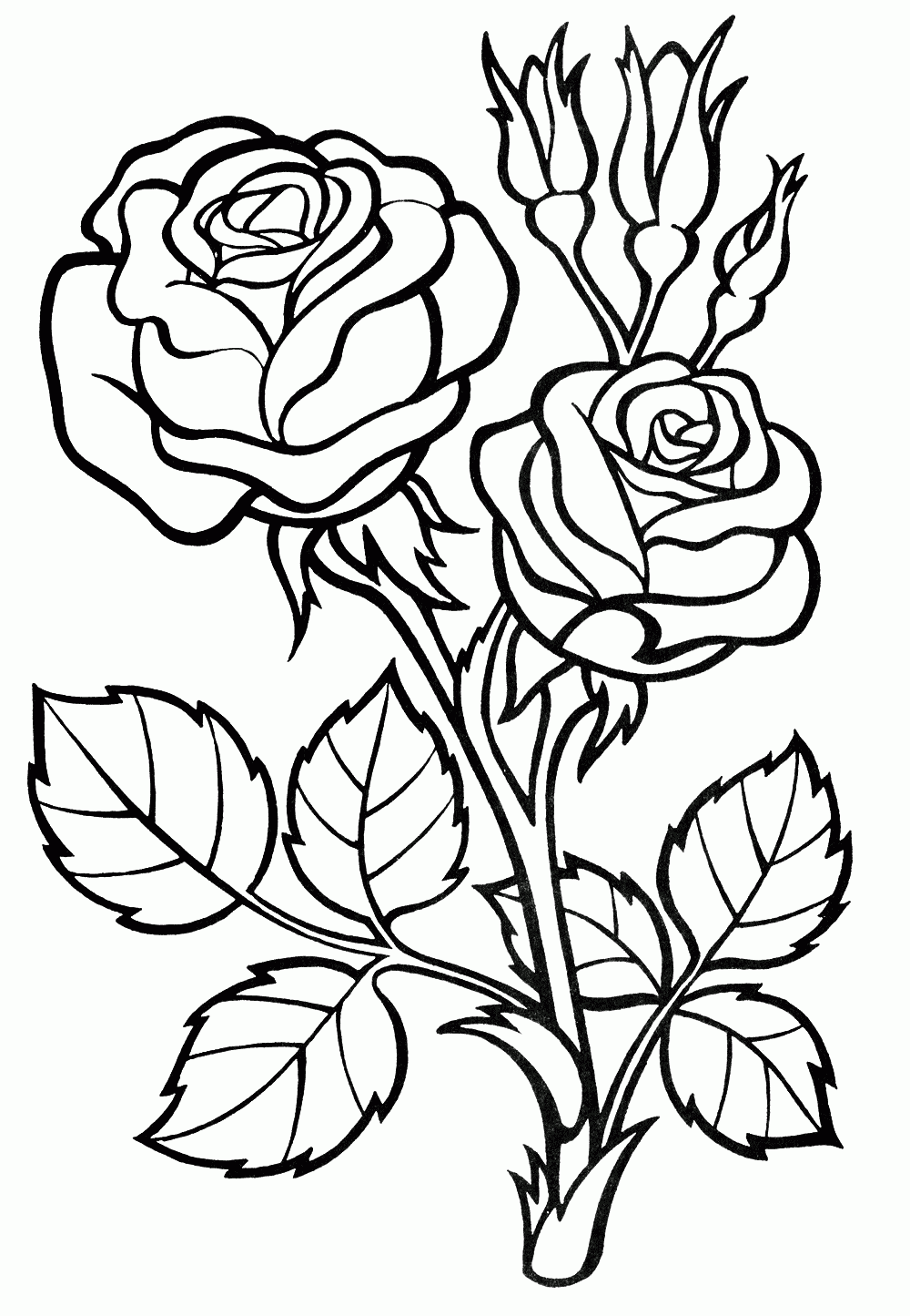 Rose Coloring Pages For Adults