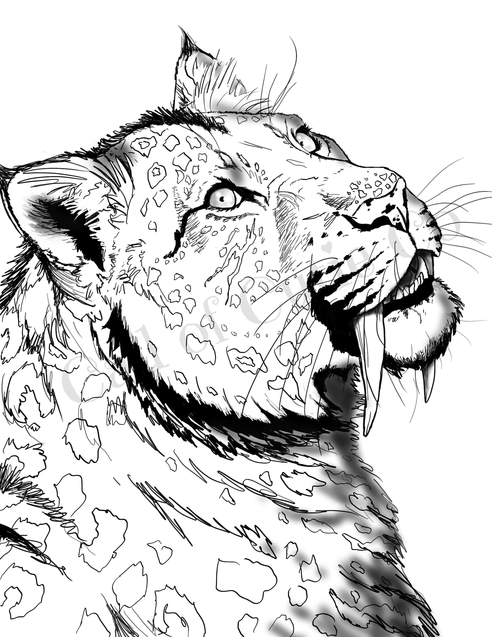 Saber Tooth Tiger Coloring Page Animal Color Pages Etsy