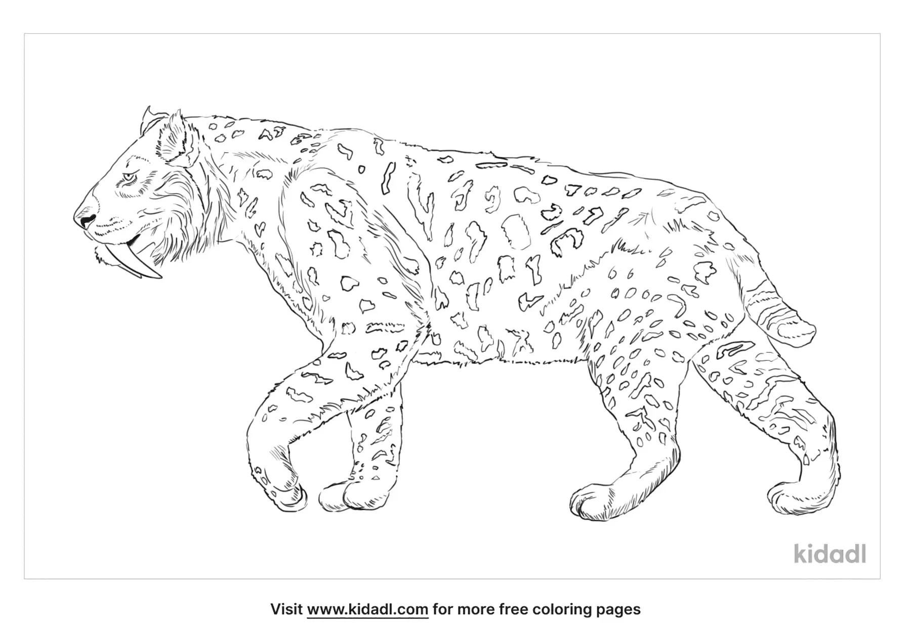 Saber Tooth Tiger Coloring