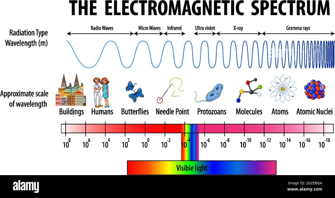 Electromagnetic Spectrum Coloring Page
