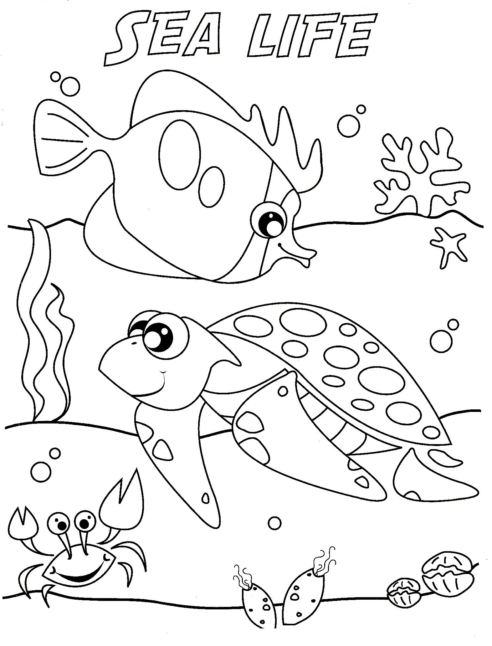 Sea Life Coloring Pages To Download And Print For Free