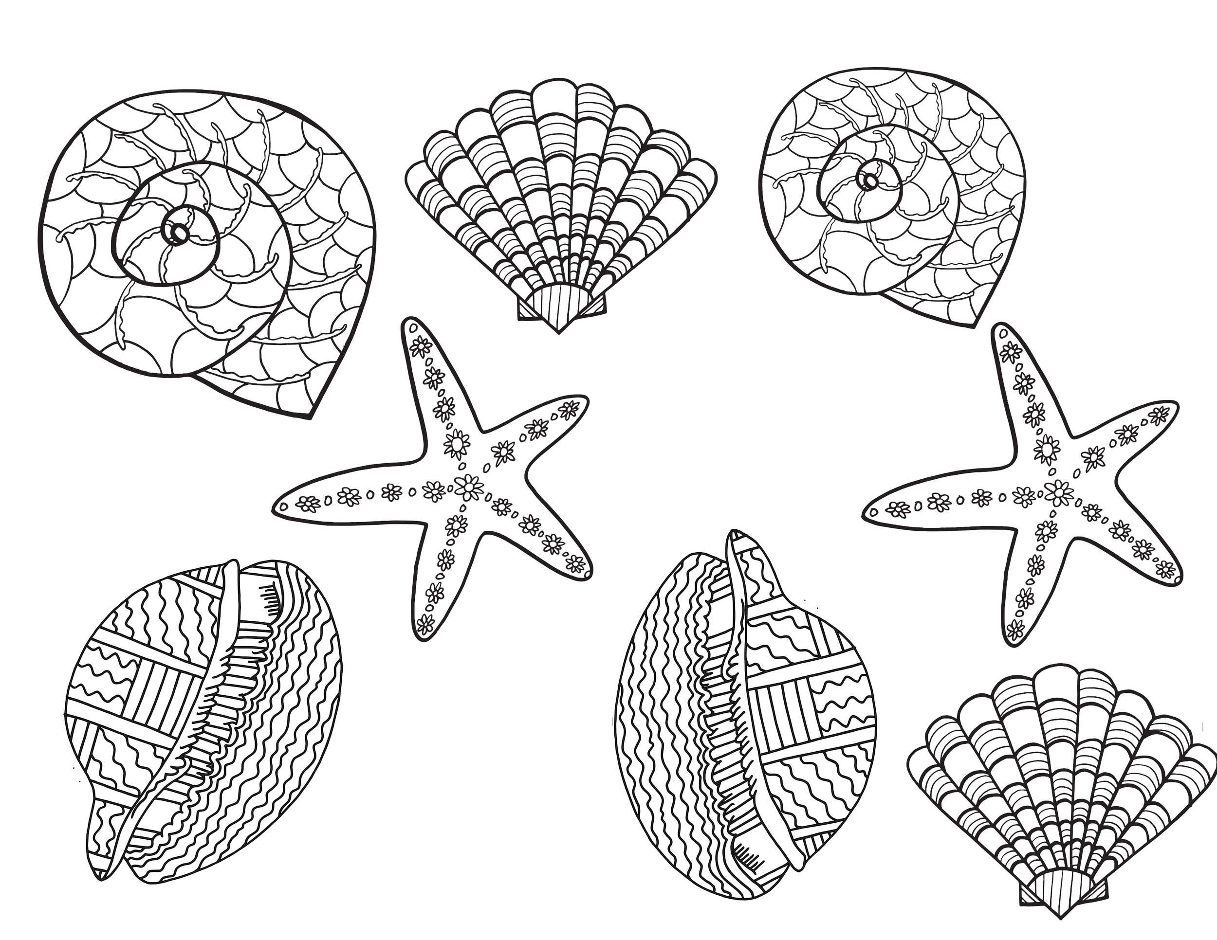 Seashells Coloring Pages