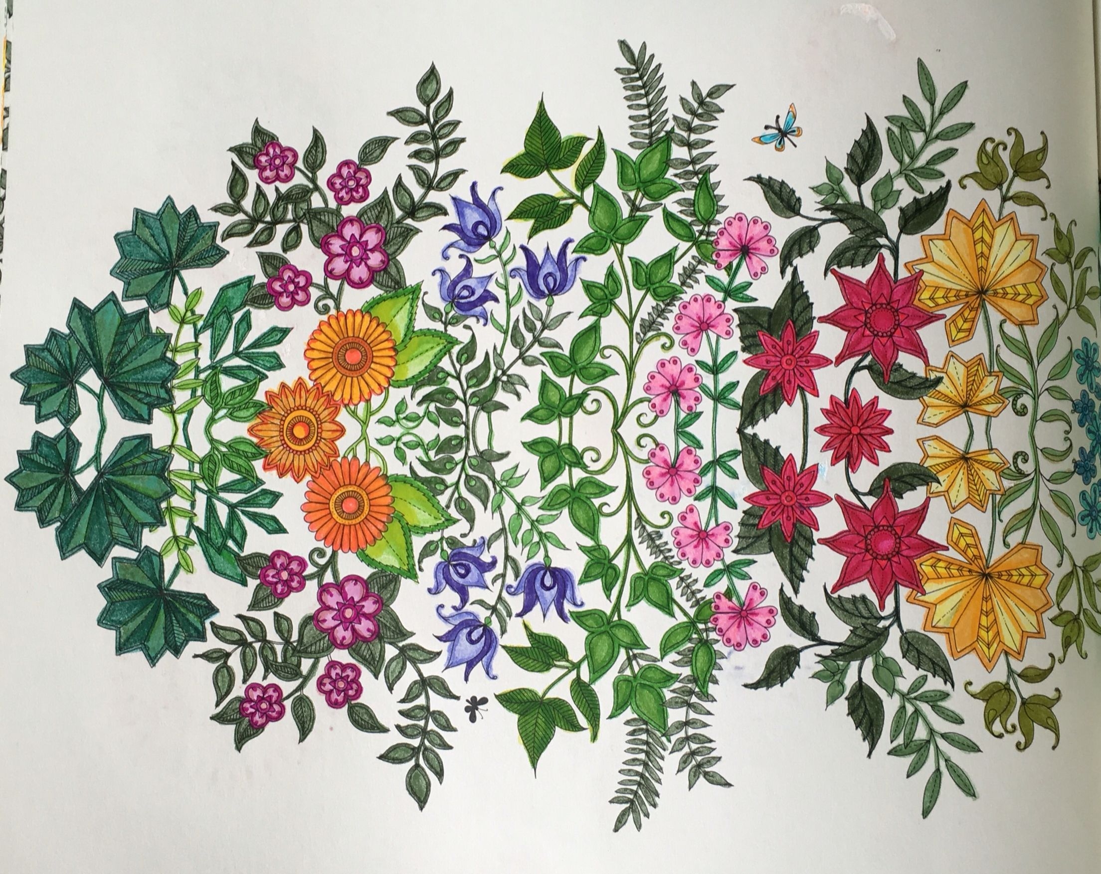 Secret Garden Coloring Book Finished Pages