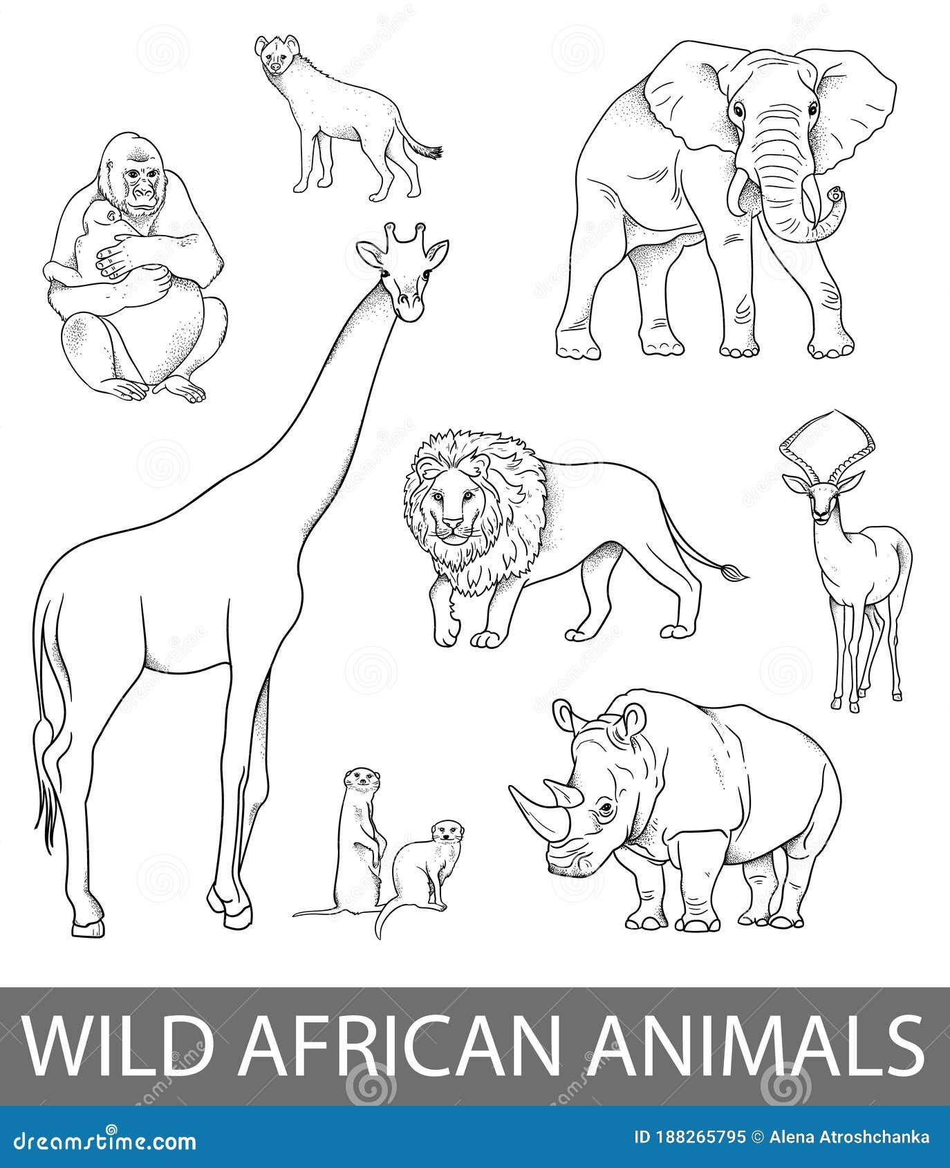 Set Of Wild African Animals Illustrations In Lines Educational Zoology Illustration Coloring