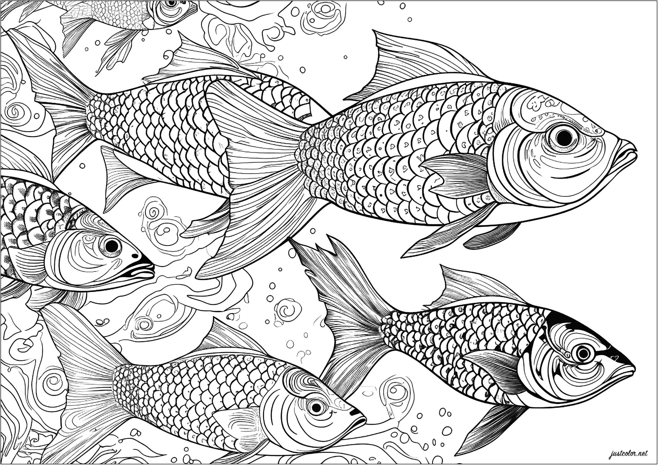 Several Fish Swimming Peacefully Fish Coloring Pages For Adults