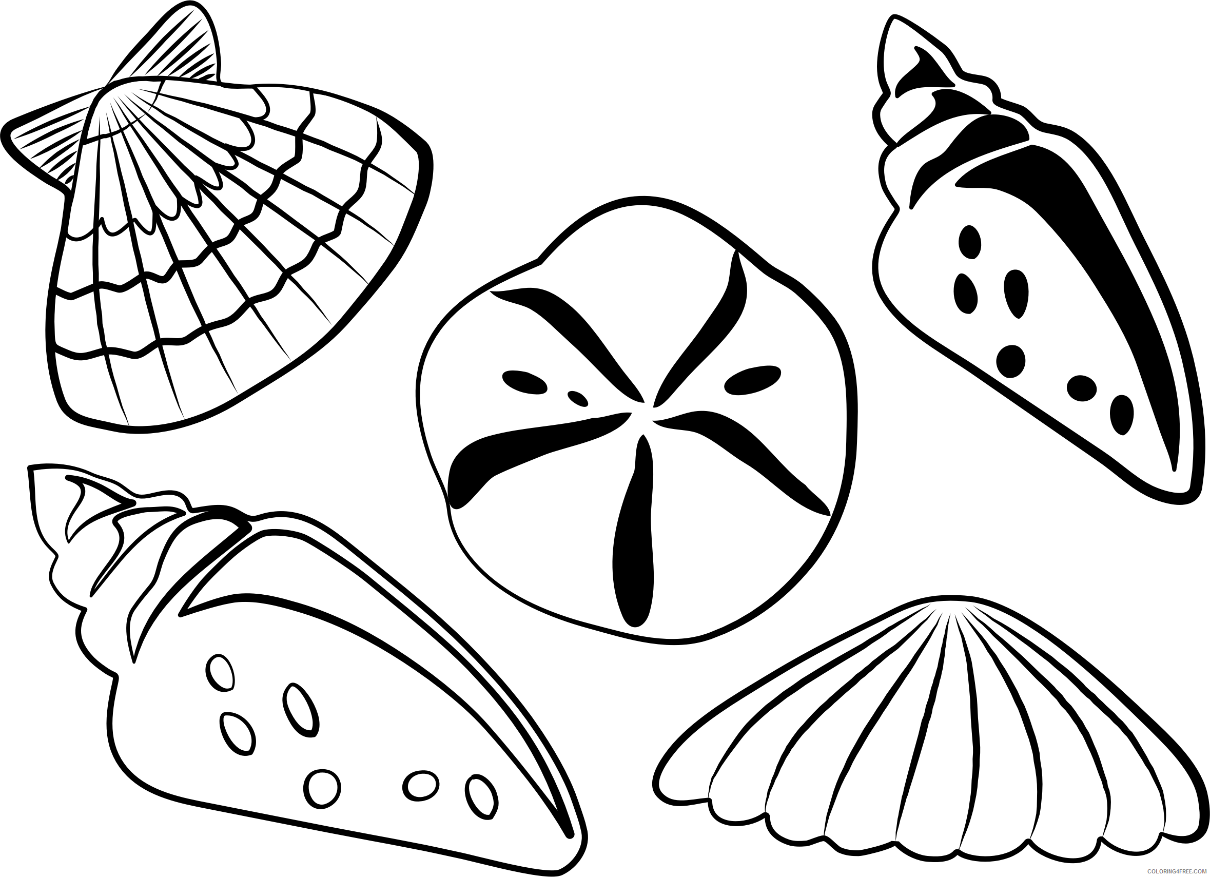 Seashell Coloring Pages