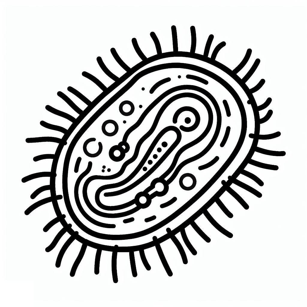 Bacteria Coloring Page