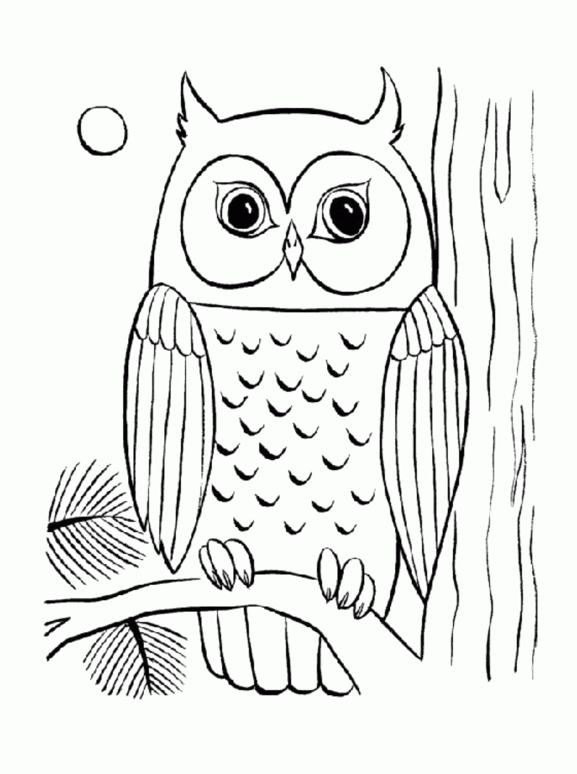 Owls Coloring Pages