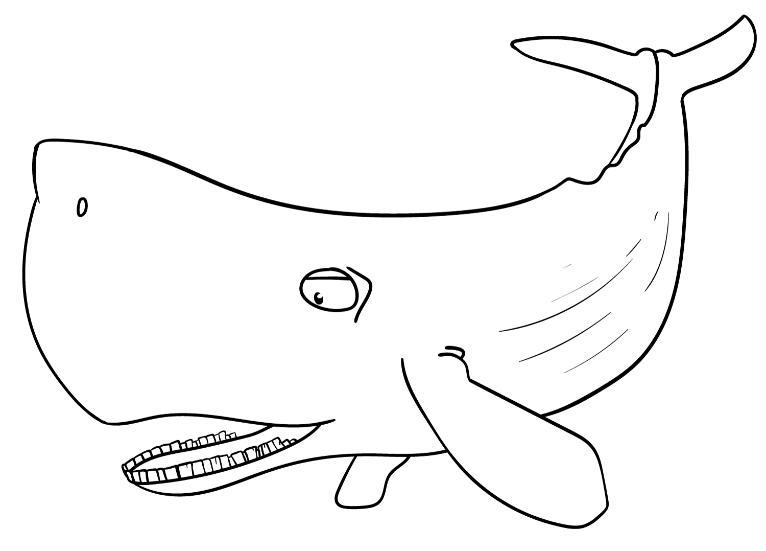 Sperm Whale Coloring Page ColouringPages