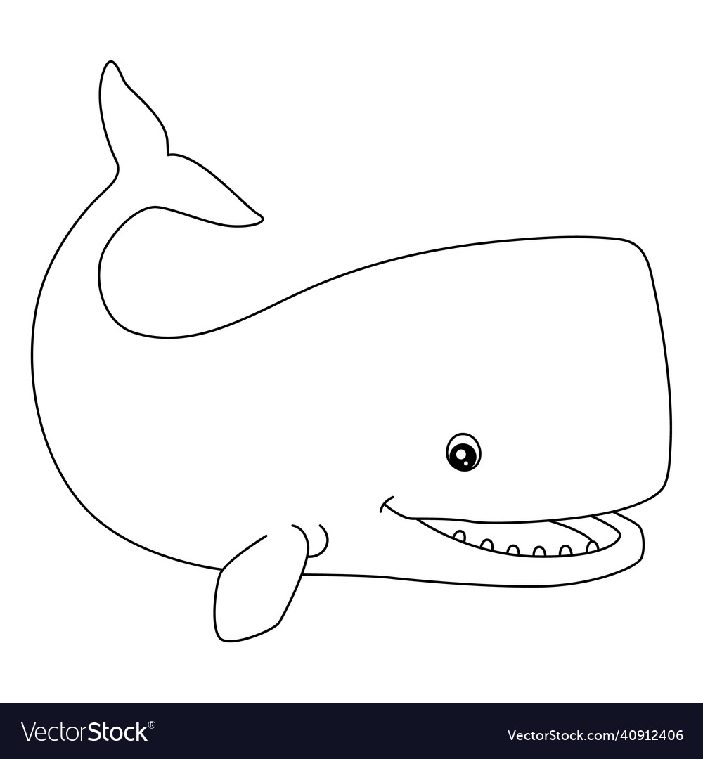 Sperm Whale Coloring Page Isolated For Kids Vector Image