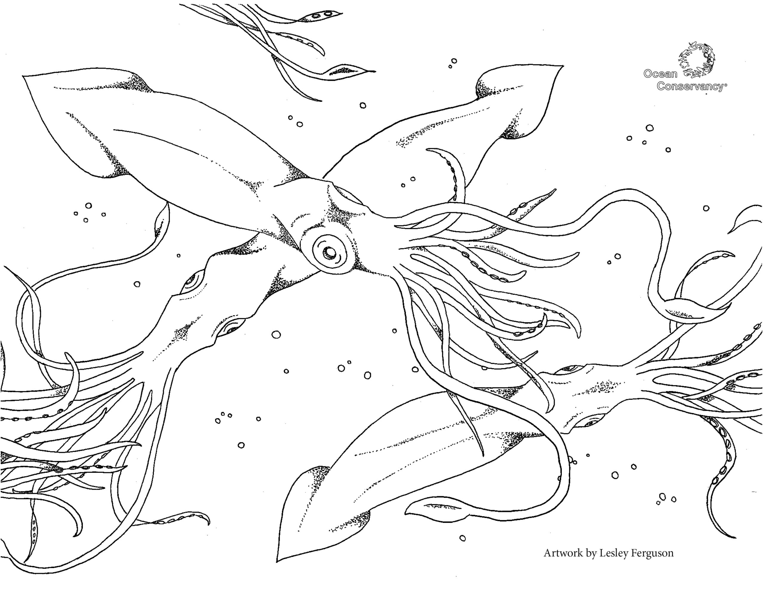 Squid Coloring Pages