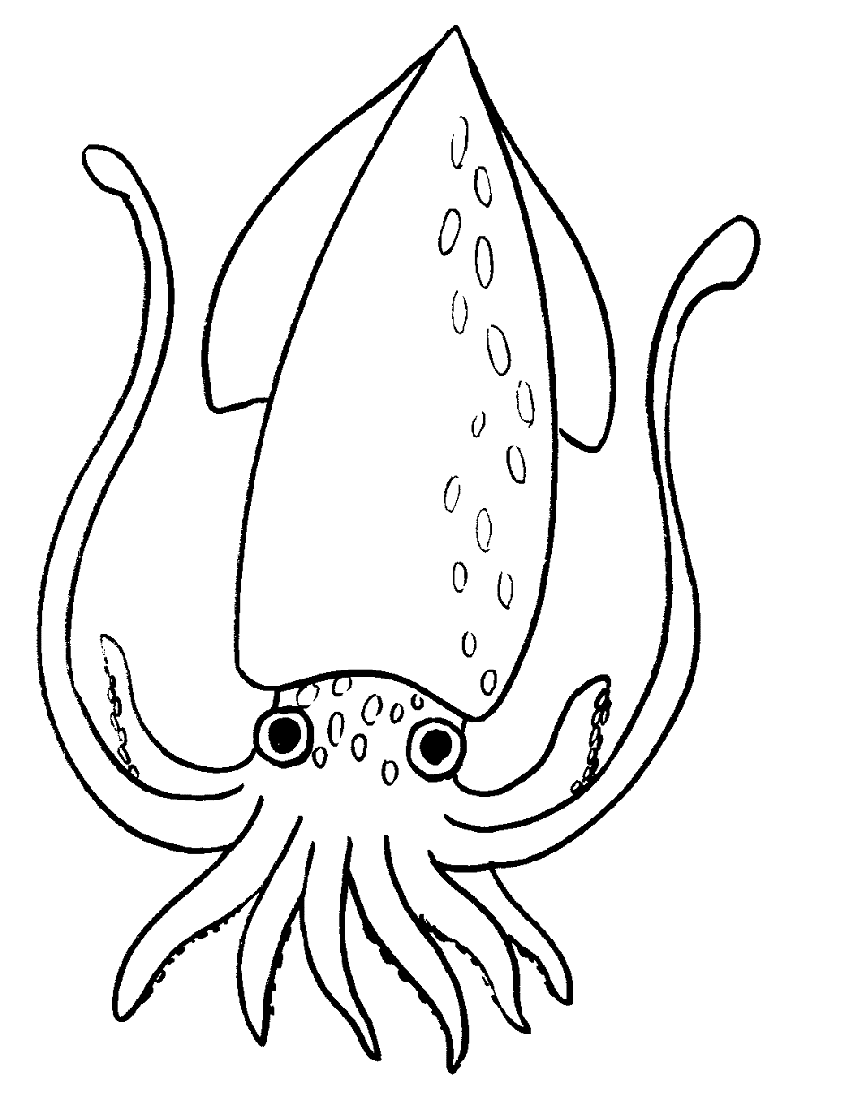 Squid Coloring Pages To Print
