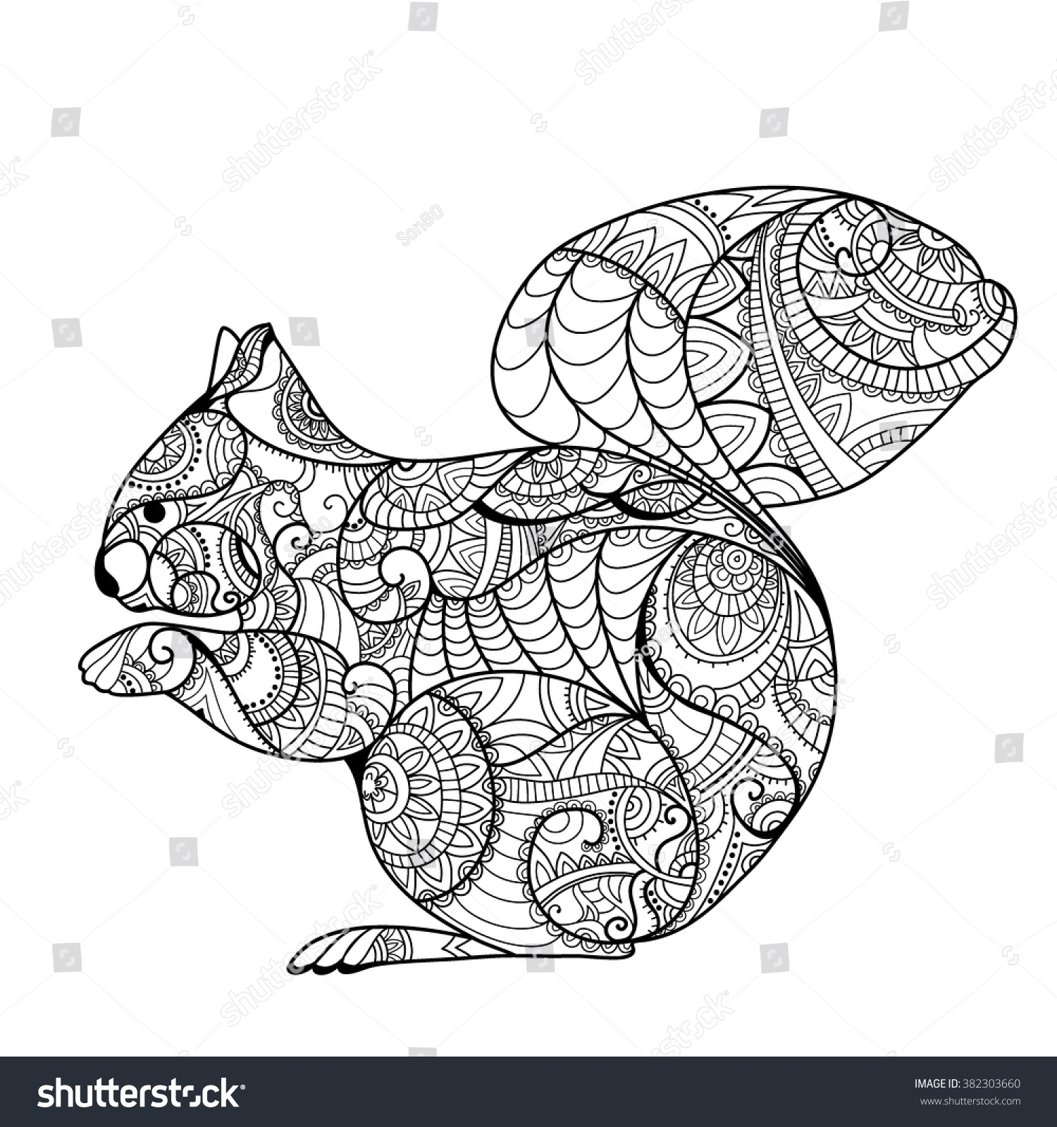 Squirrel Adult Coloring Pages