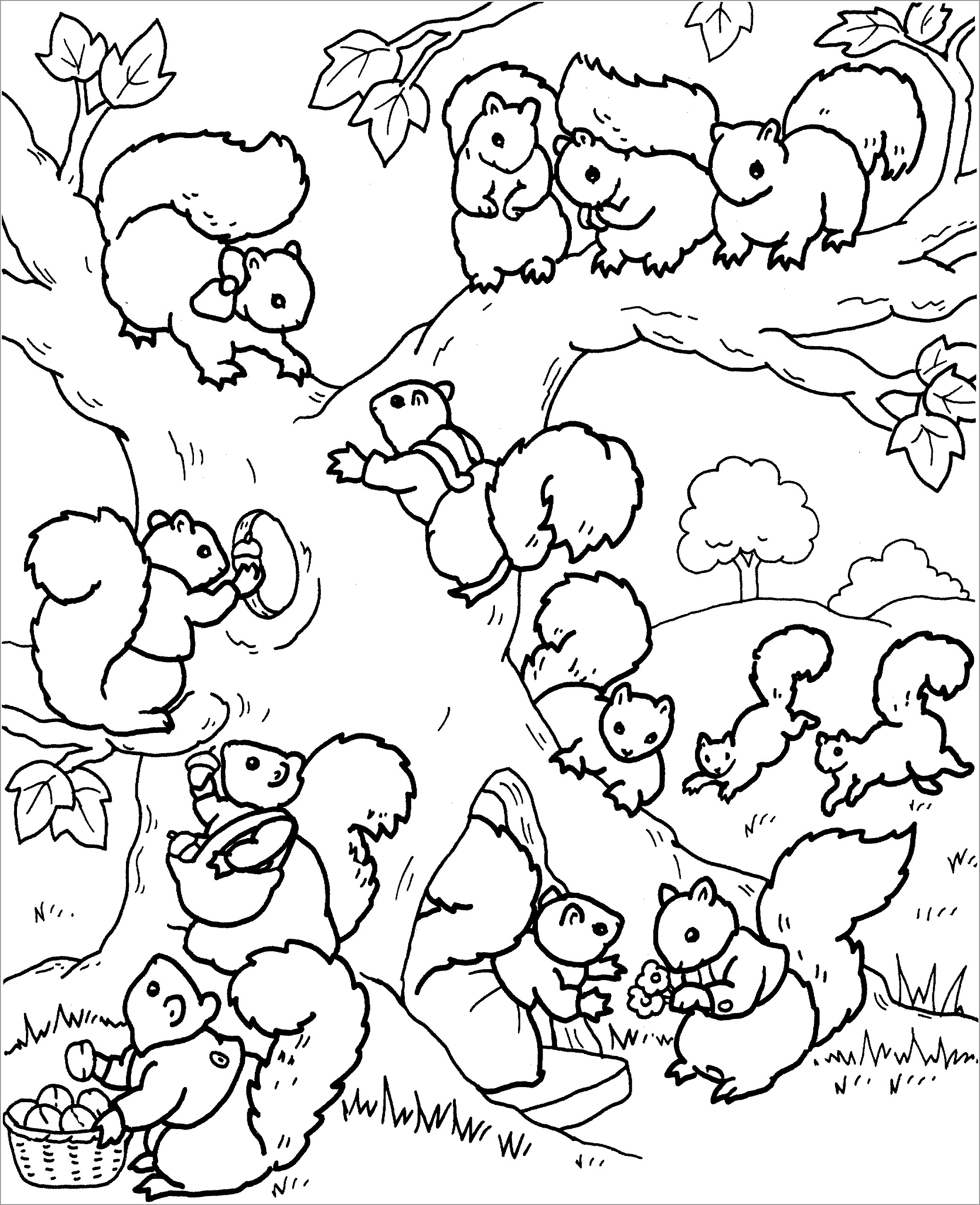 Baby Squirrel Coloring Pages