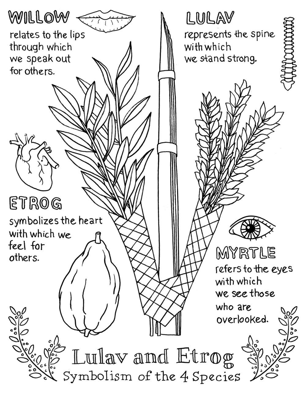 Sukkot Coloring Pages Printable Printable Word Searches