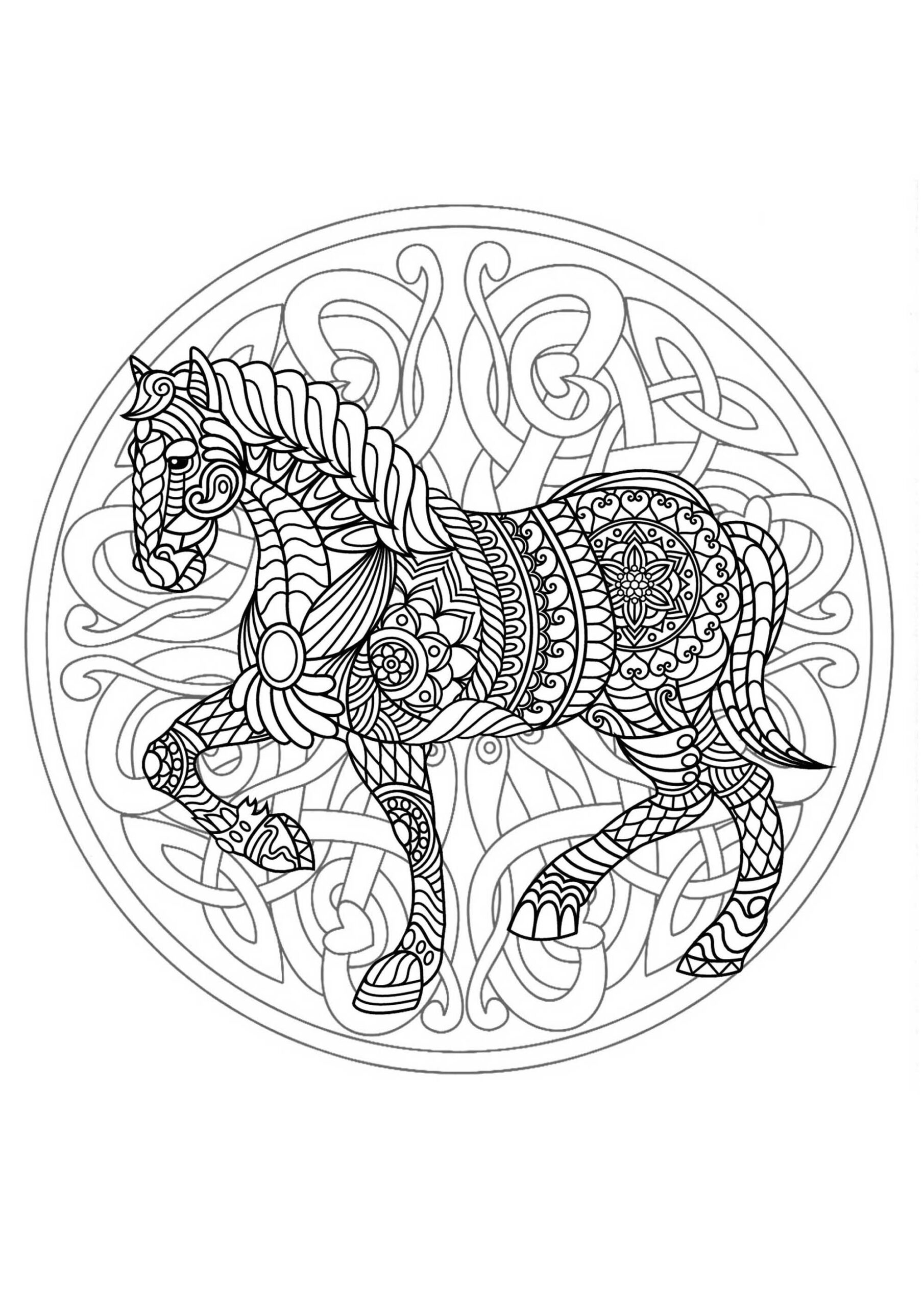 Superb Horse Mandala Mandalas With Animals