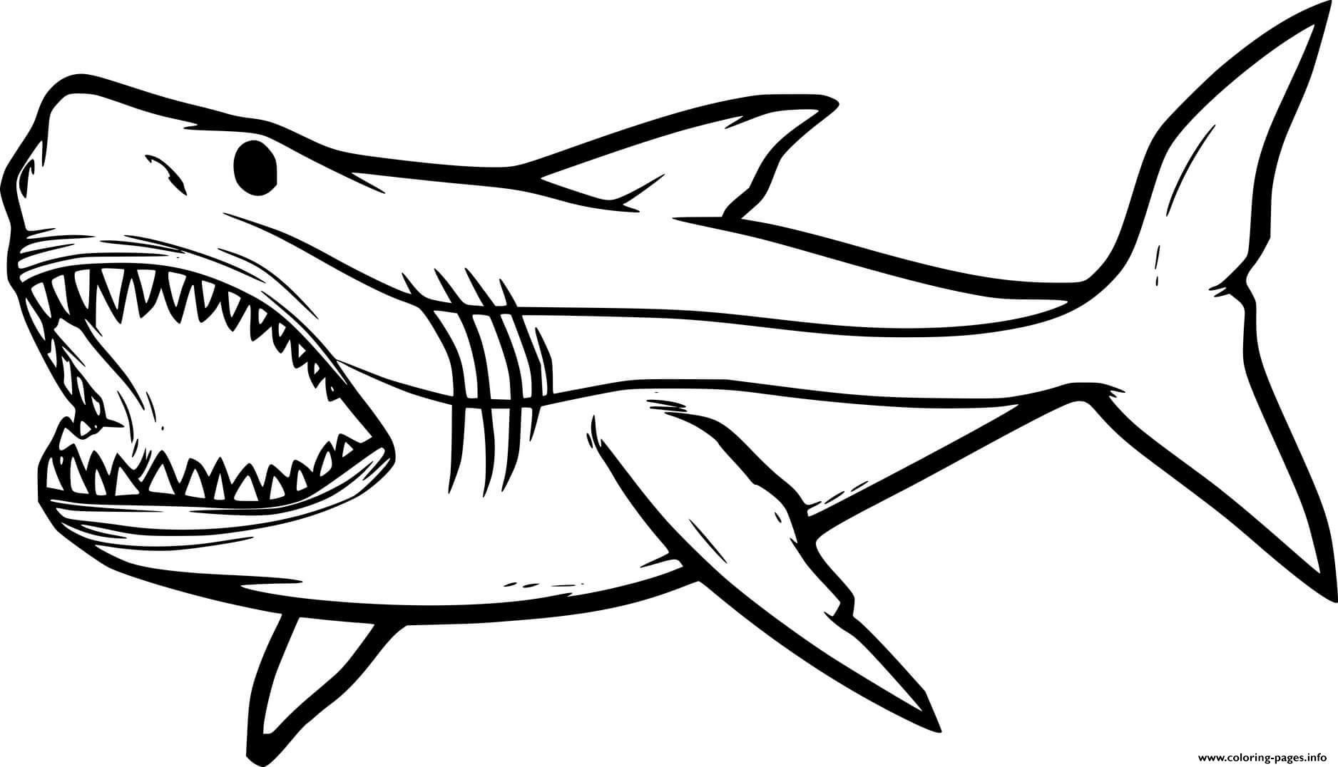 Sharks Coloring Pages