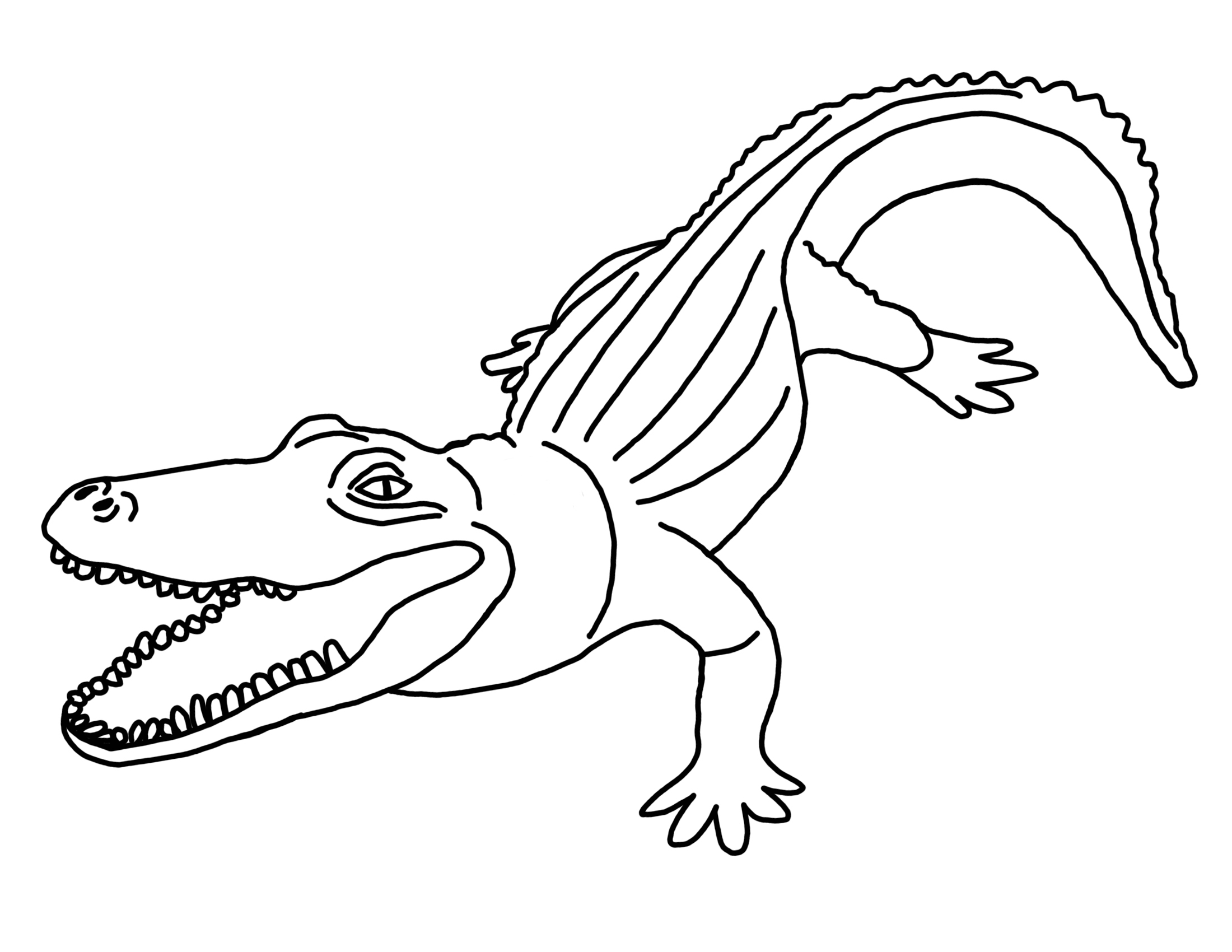 The Best Free Caiman Coloring Page Images Download From 13 Free Coloring Pages Of Caiman At